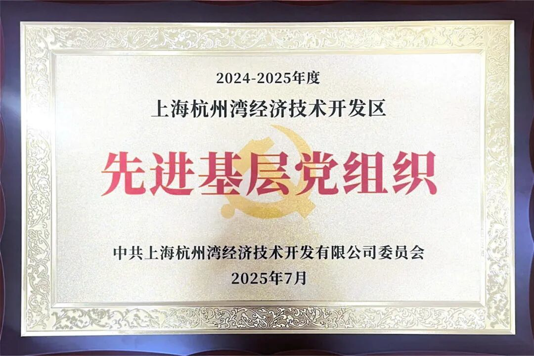 喜报 党建三元甲，再显南洋风——南洋党支部荣获杭州湾开发区2024-2025年度“两优一 先”表彰